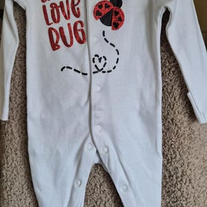 May include: White baby onesie with red glitter lettering that says "Little Love Bug" and a black and red ladybug with a heart and dotted line trail.