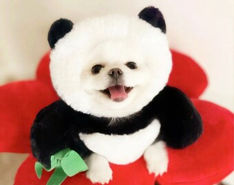 little dog panda costume