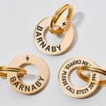 Personalized Pet ID Tag: Engraved Dog Cat Collar Charm product logo