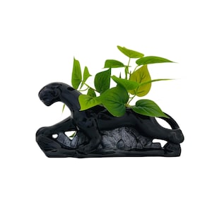 May include: A black ceramic panther planter with a glossy finish. The panther is lying down with a detailed textured base. Green leafy plants are growing from the planter, adding a natural element to the decorative piece.