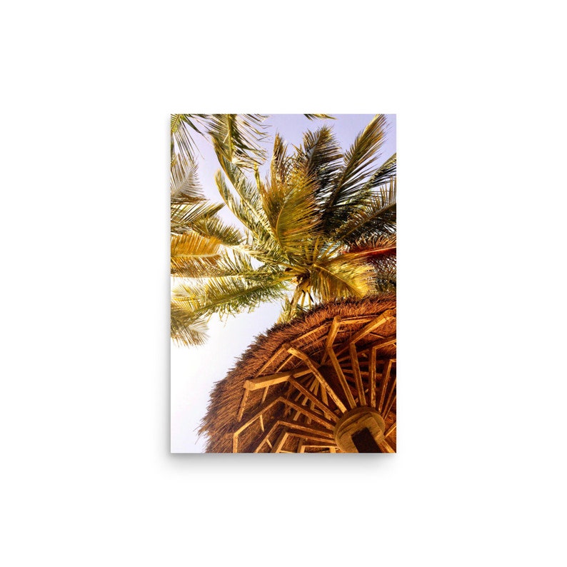 Tropical Palm Tree Travel Poster Available in Multiple Sizes Perfect