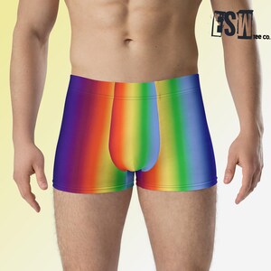 Rainbow Graphic Print Men&#39;s Boxer Briefs, Men&#39;s Underwear