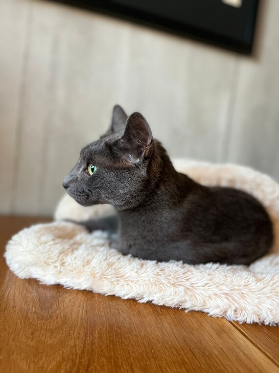 Handmade Cat Bed Handmade Pet Bed Pet Bed Cat Cave Pet Etsy