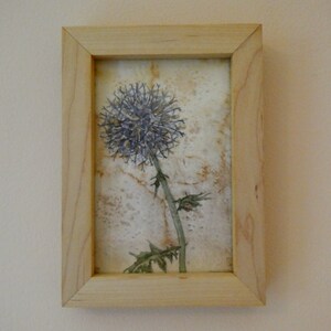 Globe Thistle original framed painting