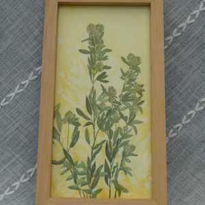 Round-headed bush clover original framed painting