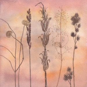 Backyard Plants (Fall) Print