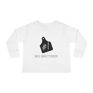 Number #1 Big Brother Shirt, Sibling Announcement Shirt, Baby Announcement, Farm Announcemet