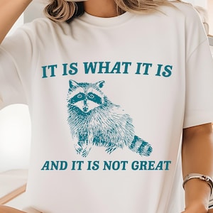 It Is What It Is And It Is Not Great, Retro Cartoon T Shirt, Weird , Meme T Shirt, Trash Racoon T Shirt - unisex t shirt