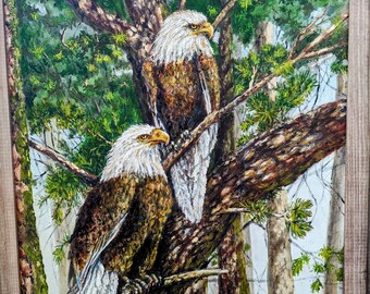 Eagles in Pines
