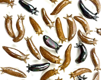 May include: A collection of small, slug-shaped ceramic figurines scattered across the frame. The majority are finished in a speckled brown glaze, while several others feature a smooth, iridescent black finish with subtle purple and green highlights.