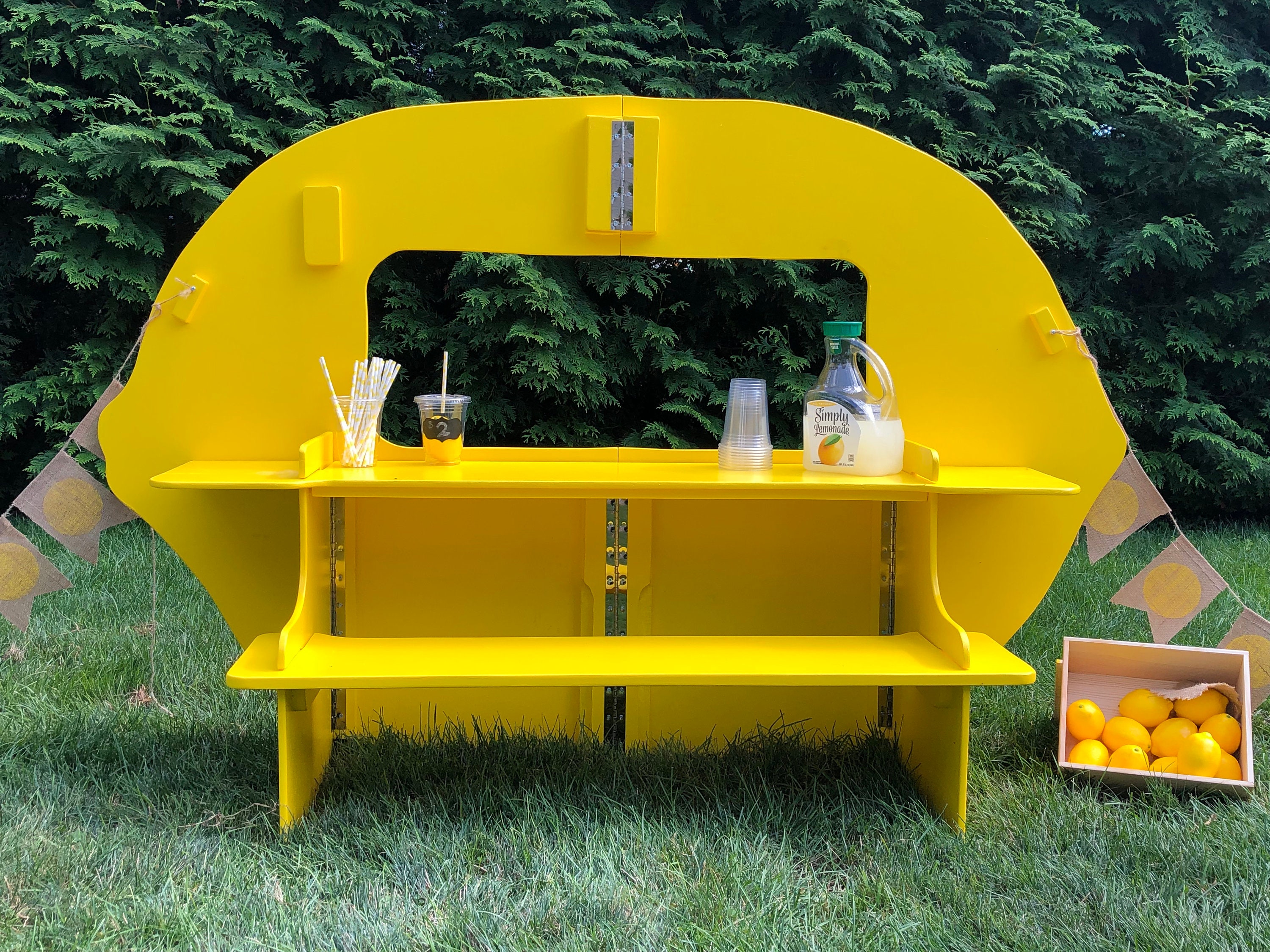 Lemonade Stand Plans Etsy