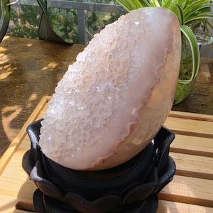 May include: A large, pale pink, semi-circular geode featuring a textured, crystalline interior surface. The geode is securely held in a black, multi-layered, lotus-shaped display stand that provides a stable base for the stone specimen.