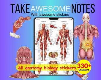 Anatomy & Physiology Digital Stickers: 330+ Medical Goodnotes Stickers (PNG)