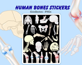 Human Bones Anatomy Stickers: Biology Skeletal System (Goodnotes PNG Digital Download)