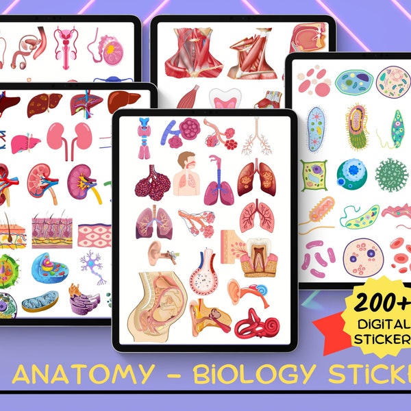 Anatomie Biologie digitale Aufkleber, vorgeschnittene menschliche Körperaufkleber, Anatomie Digitale Aufkleber, Goodnotes-Aufkleber, Anatomieaufkleber