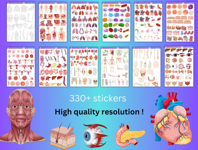 Anatomy & Physiology Digital Stickers: 330+ Medical Goodnotes Stickers ...