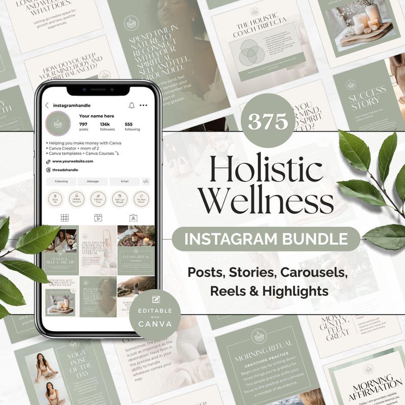 Holistic Wellness Instagram Bundle, Editable Posts Stories Reels Carousels Highlights Quotes, Holistic Coach Instagram Template, Health Reel image 1