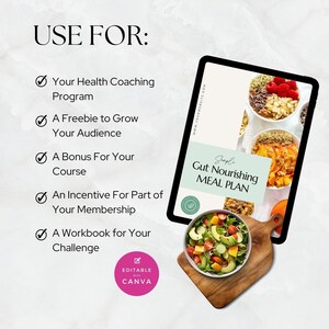 Modelo de Programa de Coaching de Saúde, Coach de Nutrição, Conteúdo sobre Saúde Intestinal, Plano Alimentar PLR, E-book Pronto para Uso, Ímã de Leads, Nutricionista, Canva imagem 3