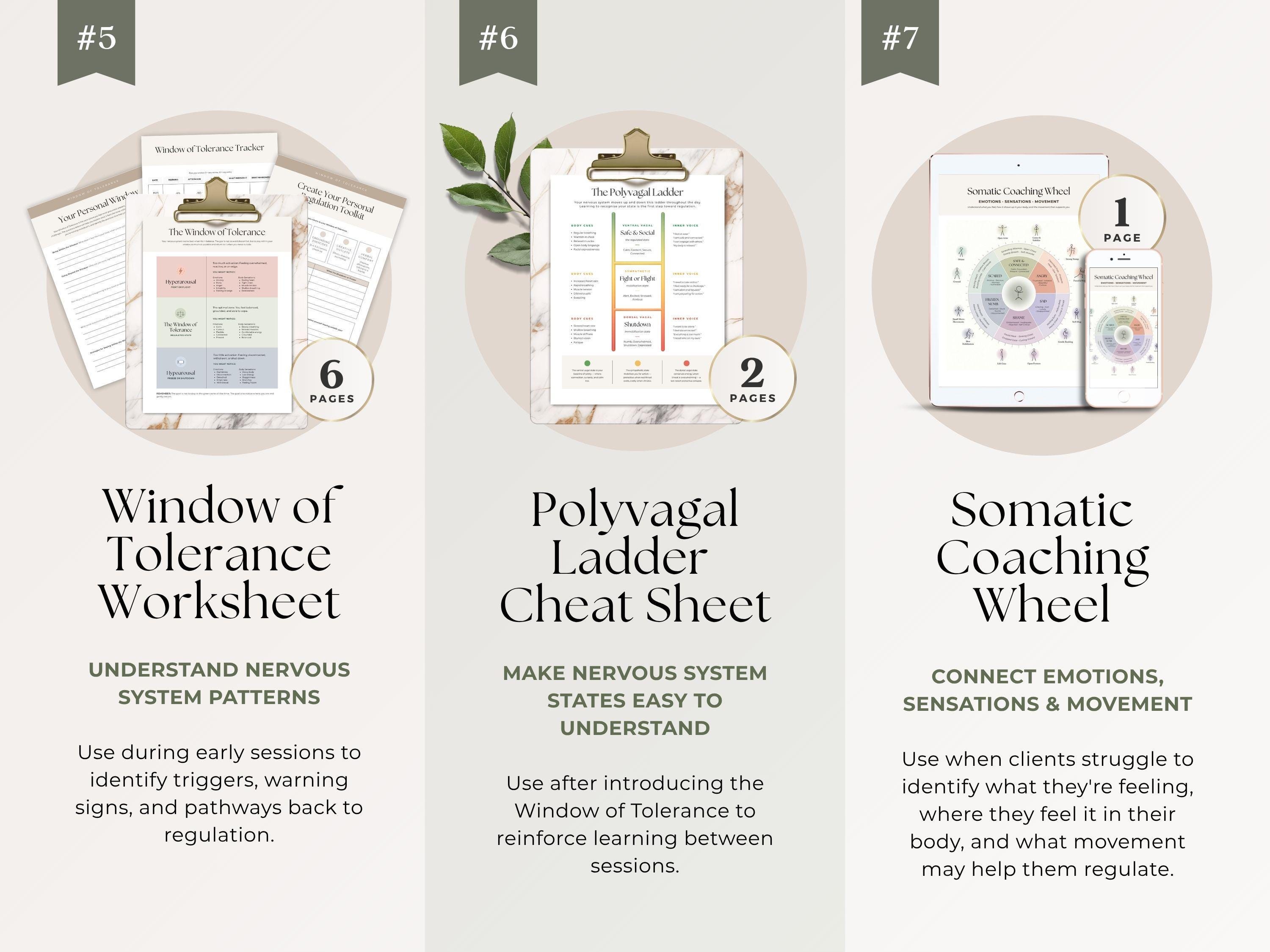 Somatic Coaching Toolkit Canva Template | Nervous System Regulation ...