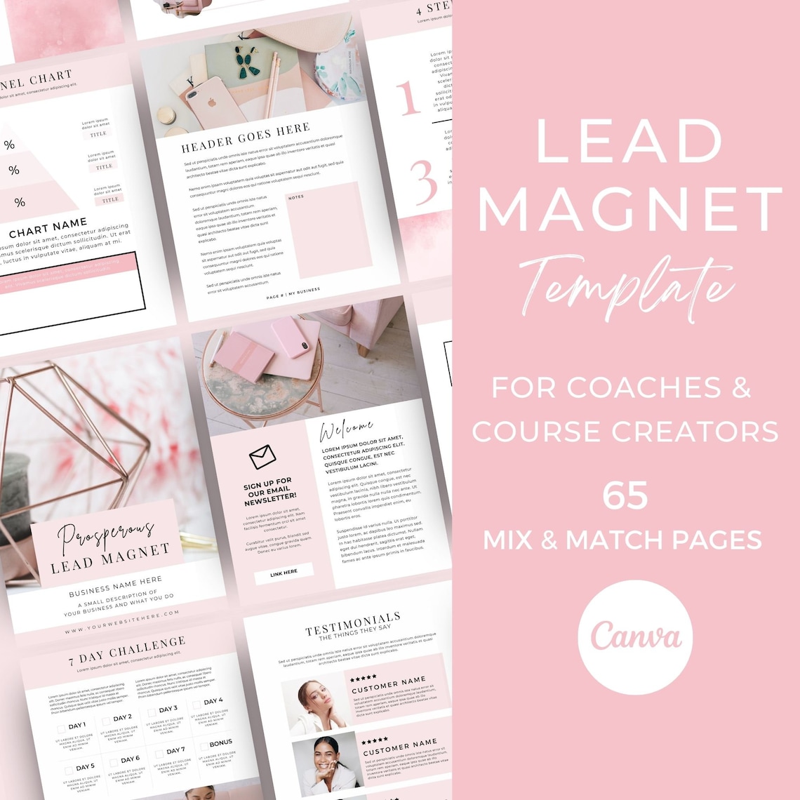 Lead Magnet Template Canva, Canva Templates Online Coach, Freebie ...