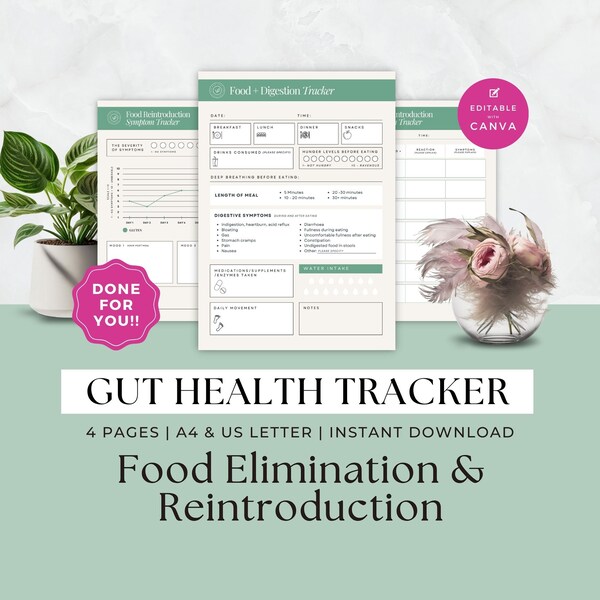 Darmgesundheitssymptome für Ernährungscoach, Gesundheitscoaching-Tools, Eliminationsdiät, Verdauung, Wiedereinführung, Handout, Canva