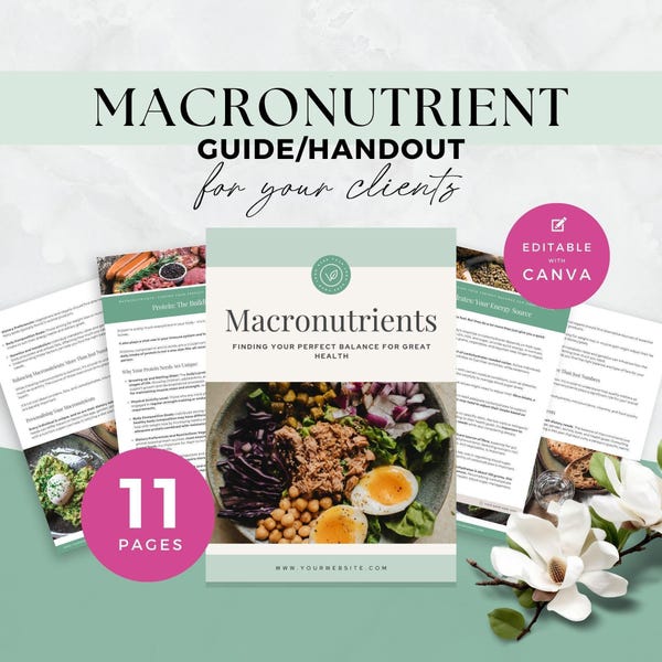 Handout Makronährstoff-Leitfaden, Ernährungscoach E-Book, Done For You-Gesundheitscoaching-Programm Inhalt, Bleimagnet Business Vorlagen, Canva