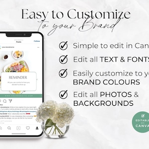 Health Coach Social Media Template, Coaching Instagram Templates and Stories, Nutrition, Wellness, Nutritionist, Holistic, Dietician, Canva image 4