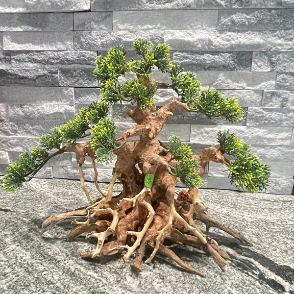 Aquarium Bonsai Tree Etsy
