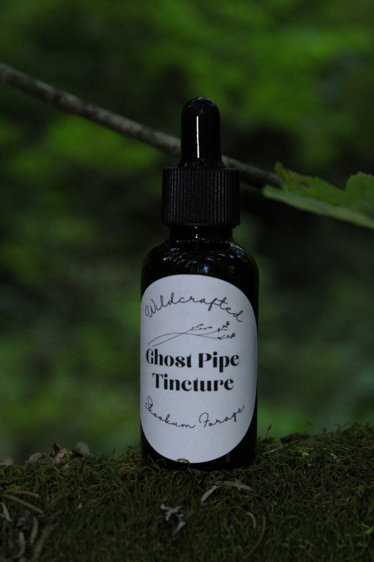 Ghost Pipe Tincture, Wildcrafted Vegan and Sustainable Etsy