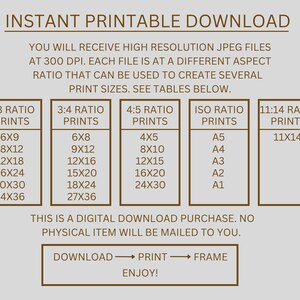 May include: A digital download graphic with text that reads "INSTANT PRINTABLE DOWNLOAD." It lists print sizes in inches for 2:3, 3:4, 4:5, ISO, and 11:14 ratios. The text also states that the files are high-resolution JPEGs at 300 DPI.