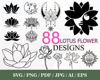 LOTUS DESIGNS PFD ロータスデザイン Patagonia -Lotus designs- : JIMS STORE & JIMS City BLOG