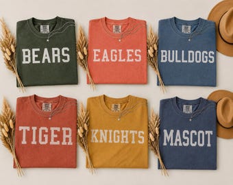 Custom mascotteshirt, gepersonaliseerd T-shirt schoolgeest, aangepast gamedagshirt, mascotte-shirt, terug naar school cadeau, shirt leraar, sportshirt