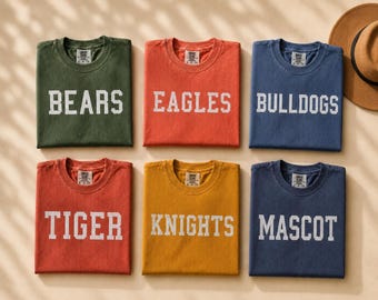 Custom Mascot Shirt, Personalized School Spirit Tee, Custom Game Day Shirt, Mascot T-Shirt, Back to School Gift, Teacher Shirt, Sports Tee