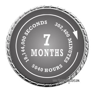 Monthly Recovery Medallion - 7 Months - Recovery Milestone - Program Neutral - AA, NA, GA