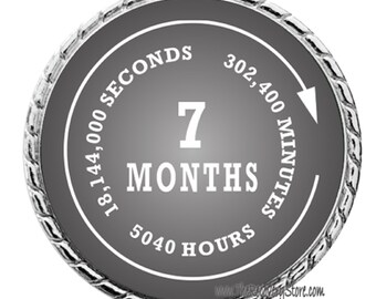 Monthly Recovery Medallion - 7 Months - Recovery Milestone - Program Neutral - AA, NA, GA