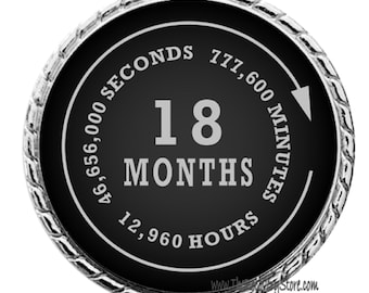 Monthly Recovery Medallion - 18 Months - AA, NA, GA - Recovery Milestone - Program Neutral