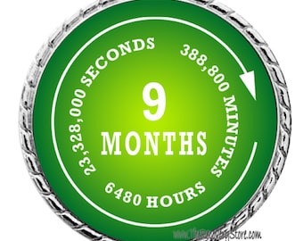 Monthly Recovery Medallion - 9 Months - Recovery Milestone - Program Neutral - AA, NA, GA