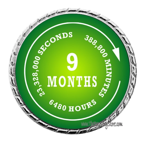 Monthly Recovery Medallion - 9 Months