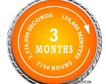 Monthly Recovery Medallion - 90 Days