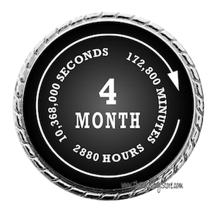 May include: A black and silver circular pin with the text "4 MONTH" in white lettering. The pin also includes the number of seconds, minutes, and hours in a four-month period.