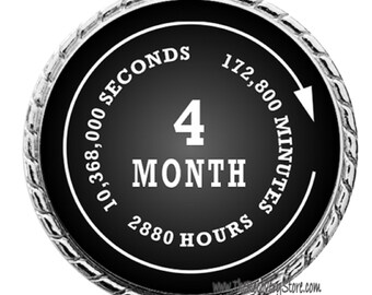 Monthly Recovery Medallion - 4 Months - Recovery Milestone - Program Neutral - AA, NA, GA