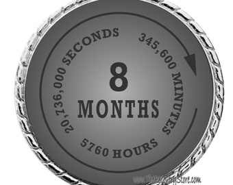 Monthly Recovery Medallion - 8 Months - Recovery Medallion - Program Neutral - AA, NA, GA