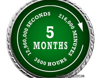 Monthly Recovery Medallion - 5 Months - Recovery Milestone - Program Neutral - AA, NA, GA