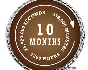 Monthly Recovery Medallion - 10 Months - AA, NA, GA - Recovery Milestone - Program Neutral