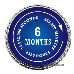Monthly Recovery Medallion - 6 Months - Recovery Milestone - Program Neutral - AA, NA, GA