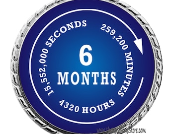 AA Purple Glitter 5 Year Coin Tri-Plate Alcoholics Anonymous Medallion Display E - Foto 8