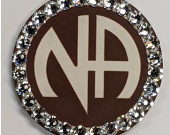 NA Monthly Crystallized 90 Day Poker Chip - Clean Time Milestone - Narcotics Anonymous