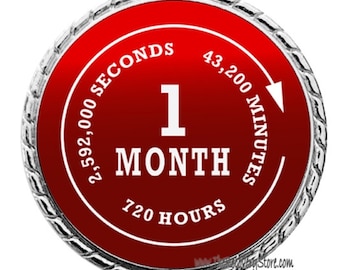 Monthly Recovery Medallion - 30 Days - Recovery Milestone - Program Neutral - AA, NA, GA
