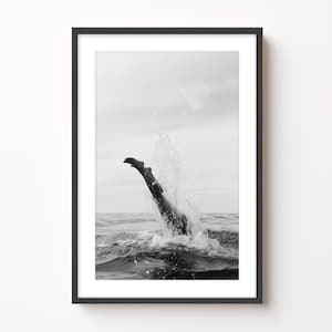 Black and White Ocean Dive Art Print: Framed Coastal Wall Decor