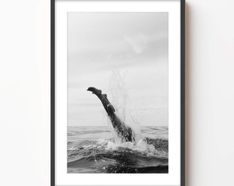 Black and White Ocean Dive Art Print: Framed Coastal Wall Decor